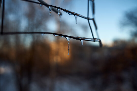 snow ice winter icecle macro