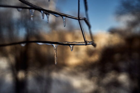 snow ice winter icecle