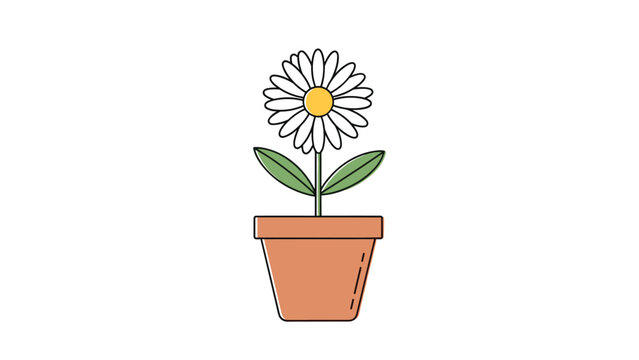 Colorful illustration of a single blooming daisy flower with white petals and a yellow center growing in a terracotta pot.