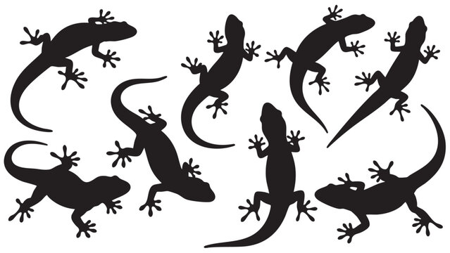 Eight gecko silhouettes in different poses isolated on transparent