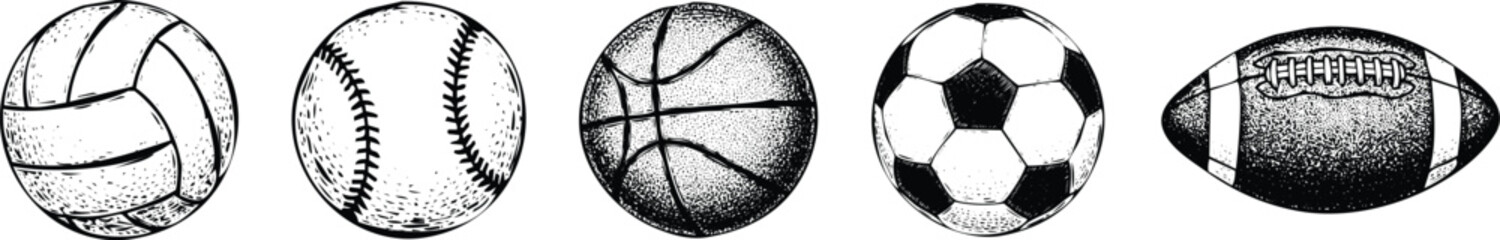 A collection of various sports balls arranged in a row from left to right Vector