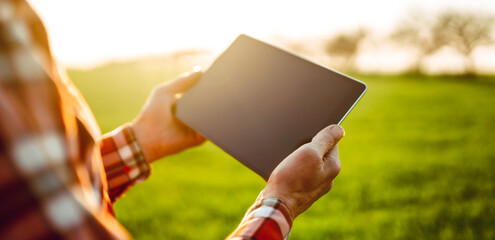 A man stands in a green field at sunset, holding a tablet. The sunlight creates a warm glow. The man is wearing a plaid shirt and appears to be staring intently at the device. © maxbelchenko