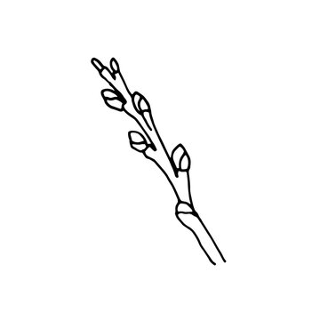 Spring branch, simple black and white doodle vector hand drawn isolated.