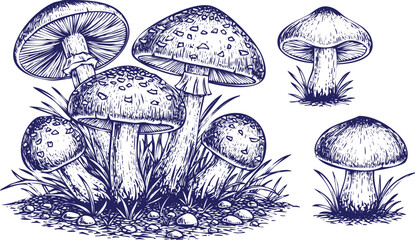 A detailed illustration of various mushrooms growing in a grassy environment. Vector