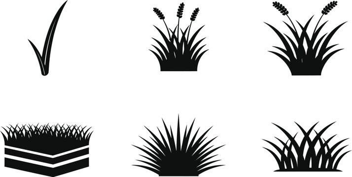 Collection of different black grass and reed clump icons demonstrates various growth stages and soil cross-section.