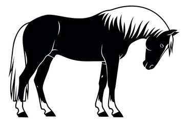 Obraz premium Graphic illustration of a horse depicting a gentle pose for equestrian themes