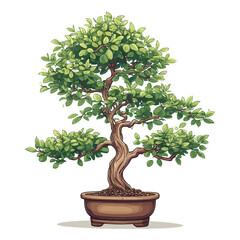 Bonsai Design Very Cool