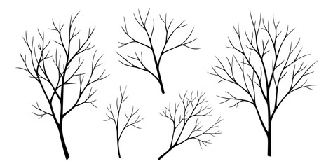 Obraz premium Hand drawn line art tree set featuring bare branches for winter nature design