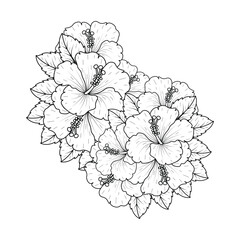 common hibiscus flower outline blossoming petal or rose mallow flowers coloring page © MdAbadur