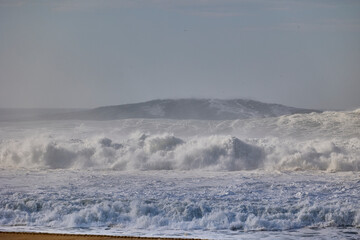 Big waves crushing in winter season in Nazare, Portugal
