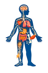 Obraz premium A radiant neural network spreads into a human outline, unexpectedly linking to other bodily systems