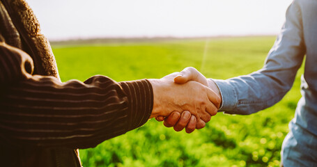 Two people shake hands in a green field during the day. This scene captures a moment of agreement or friendly greeting in nature. Concept for agriculture and business. © maxbelchenko