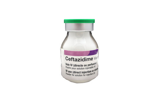 Flacon de poudre injectable de Ceftazidime de chez Viatris