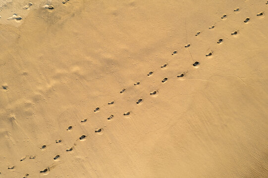 Aerial View of Couple&rsquo;s Footprints in the Sand on a Beach