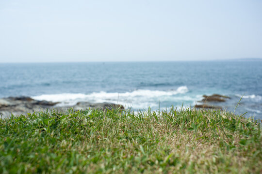 the edge of a well manicured lawn crumbles and drops off into a hungry ocean, implying the end of an American dream of home ownership and prosperity in an oligarchical society