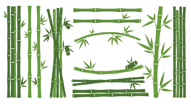 A collection of green bamboo stalks and leaves arranged in a pattern