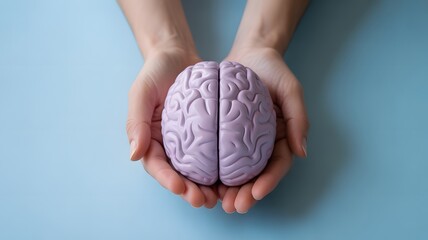 A person cradling a model of a human brain