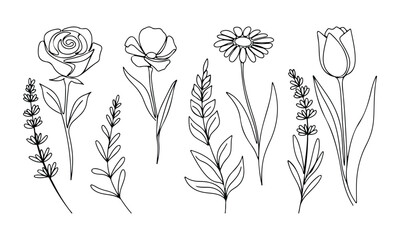 Naklejka premium Hand Drawn Botanical Flower and Leaf Line Art Set Vector Illustration