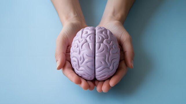 A person cradling a model of a human brain