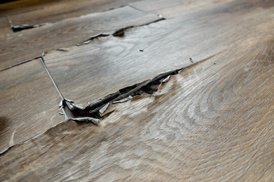buckled laminate floor with torn planks and visible crack caused by heated floor expansion. closeup of damaged floor covering with lifted edges