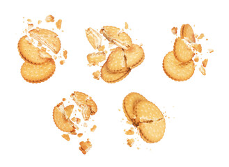 Set of crushed crispy delicious biscuits isolated on a white background