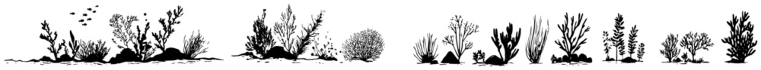 Fototapeta premium Panoramic hand drawn sketch of underwater plants and coral reef vegetation