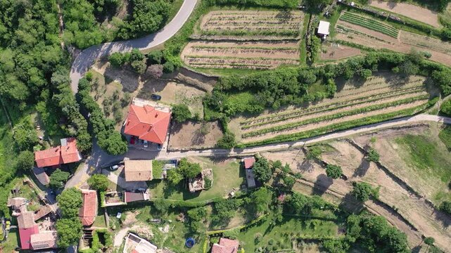 Aerial of terraced countryside