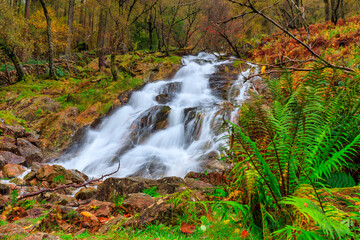 Beautiful autumn landscape of England. United Kingdom