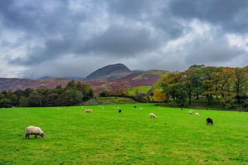 Beautiful autumn landscape of England. United Kingdom