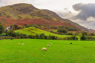 Beautiful autumn landscape of England. United Kingdom