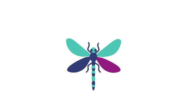 Dragonfly Top View Simple Illustration