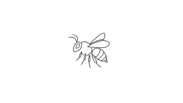 Bee Line Art Animation Style