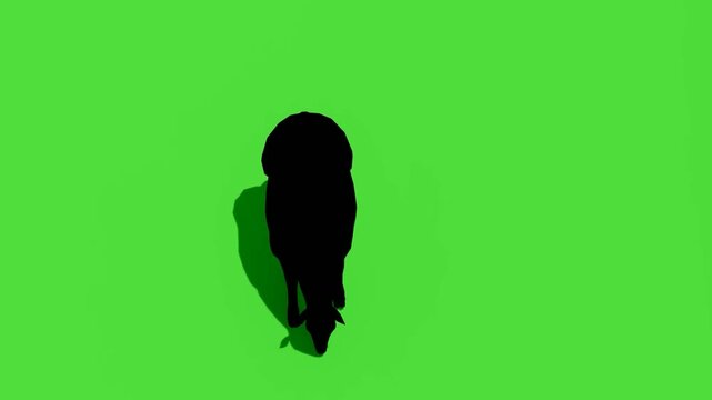 Sheep Silhouette Farm Animal Scene