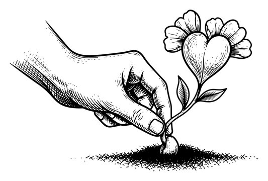 Hand planting a heart shaped flower in the soil vintage engraving style vector illustration concept of growing love