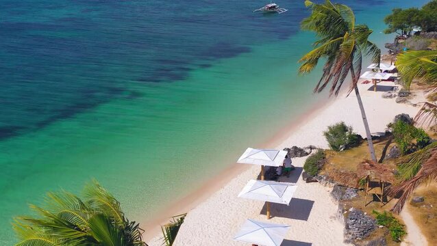 Aerial view of tropical coastline with palm shade and turquoise sea