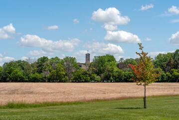 Church Steeple Rising In the Distance Against A Blue, Cloud-filled Sky