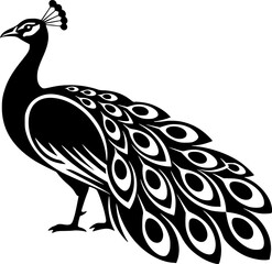 Fototapeta premium peacock - black and white isolated icon - vector illustration 