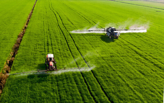 Agricultural Sprayers Applying Fertilizer to Green Wheat Fields