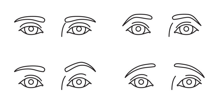 Eyebrow options that can be surgically adjusted.