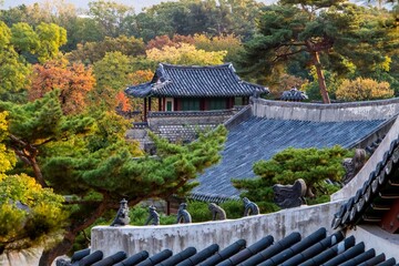 Fototapeta premium Traditional Korean Palace Architecture in Autumn, Seoul