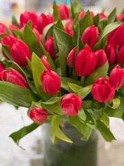 Obraz premium Fresh bouquet of red tulips in a vase