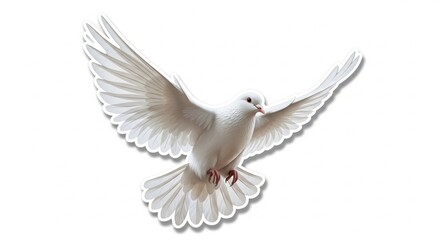 Fototapeta premium white dove flying against a white background