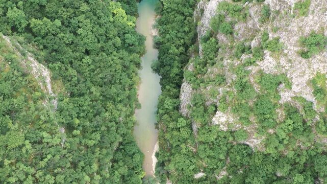 Aerial shot of forest river curve