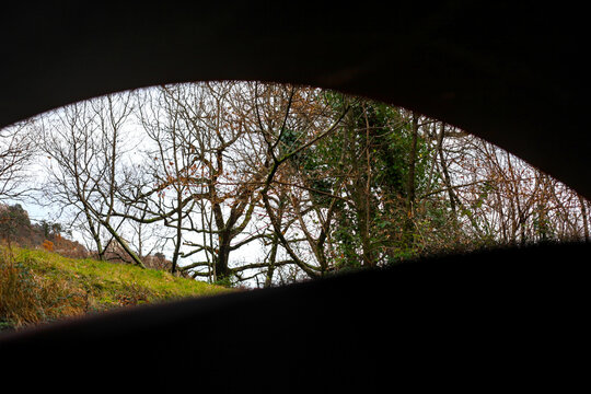 A scenic view of bare autumn trees and green grass, framed by the dark silhouette of a concrete structure. The contrast creates a natural frame and a sense of looking out from a dark tunnel.