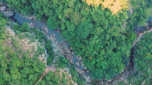 Aerial forest river stream