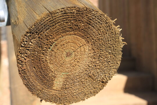 Base pilon de madera prensada