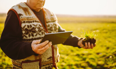 A farmer stands in a field at sunset. He holds a small plant in one hand and a tablet in the other to monitor the crop's growth. Concept of sowing, agriculture. © maxbelchenko