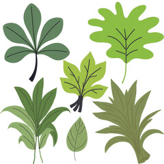 A vector graphic illustration of various green leaves on a white background