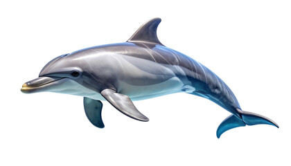 Fototapeta premium A beautiful, realistic common bottlenose dolphin jumping and smiling, captured mid-air. This marine mammal showcases its sleek, gray skin and intelligent expression, isolated with a transparent backgr