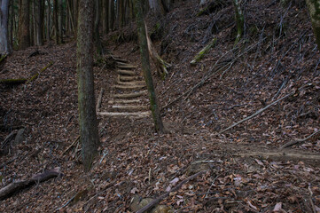 祖母山の登山道（風穴コース）